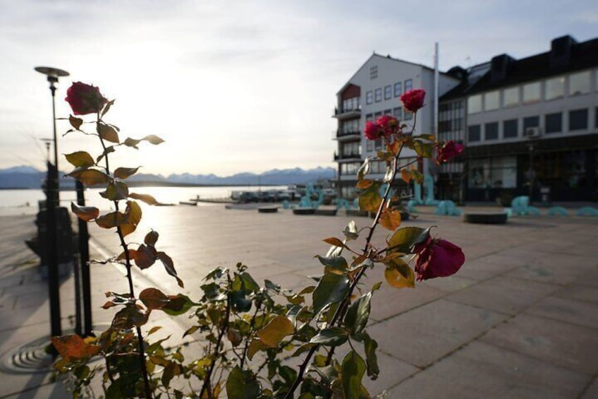 Atlantic Ocean Road, Kvernes Stav Church and More in Molde 