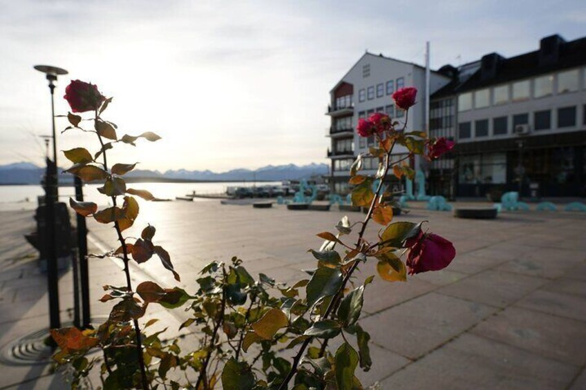 Atlantic Ocean Road, Kvernes Stav Church and More in Molde