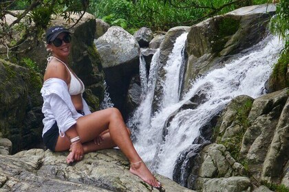 Coffee Plantation and River with Waterfalls in Puerto Rico