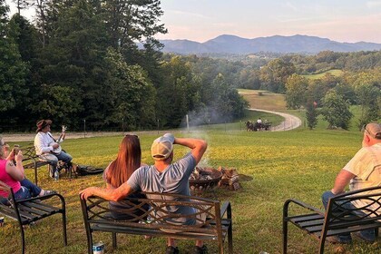 Cozy Farm Experience with S'mores and Horse-Drawn Wagon Ride