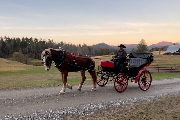 Cozy Farm Experience with Wagon Wheels and Acoustic Meal