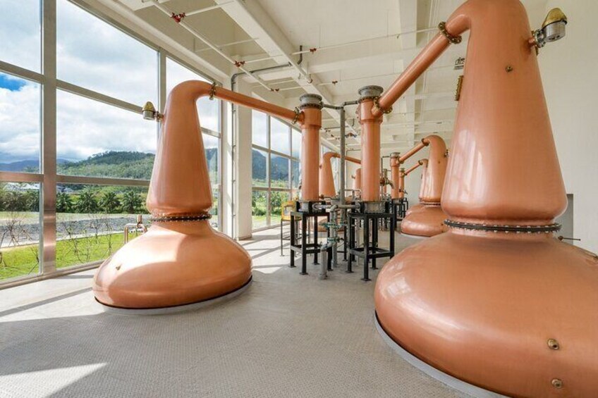 Yilan Distilleries Private Tour Kavalan Whisky JD Brewing