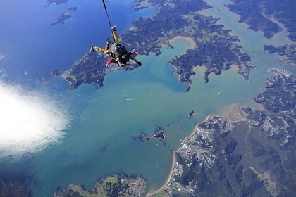 Bay of Islands: 12,000ft Skydive