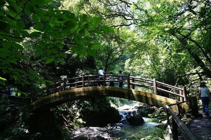 Kyushu Kamishiromi Shrine, Amano Iwato , Takachiho Gorge Day Tour