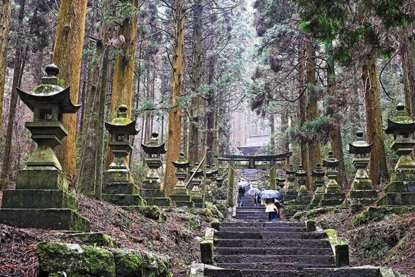 Kyushu Kamishiromi Shrine, Amano Iwato , Takachiho Gorge Day Tour