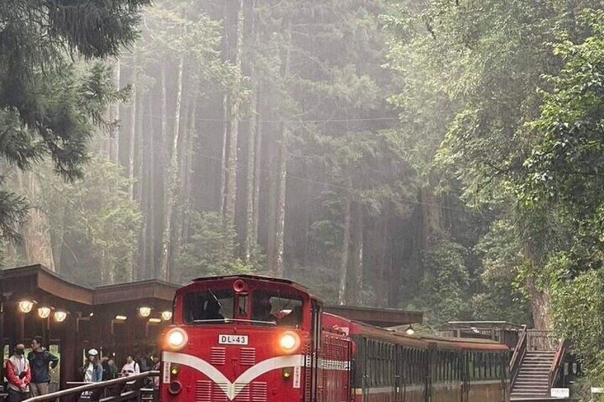 Alishan One Day Tour from Taichung