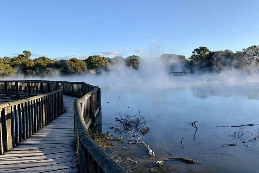 Ports of Tauranga/Rotorua/Tga - 6 Hours Rotorua Highlights Tour