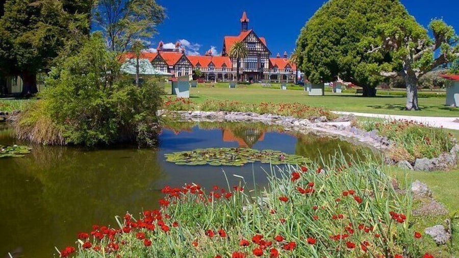 Ports of Tauranga/Rotorua/Tga - 6 Hours Rotorua Highlights Tour