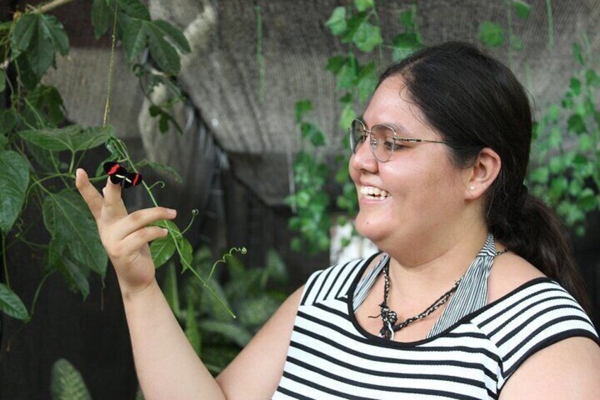 Private Butterfly Garden Tour and Tequila Tasting