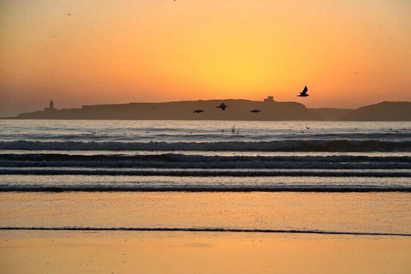 Surfing in Essaouira with local pros 