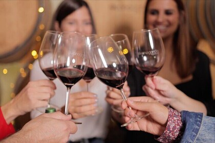 Explora una bodega urbana y disfruta de una cata de vinos Jumilla