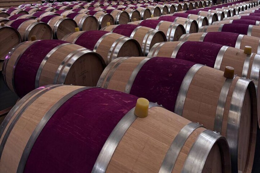 Discover Margaux : Vineyards, lunch and tastings included