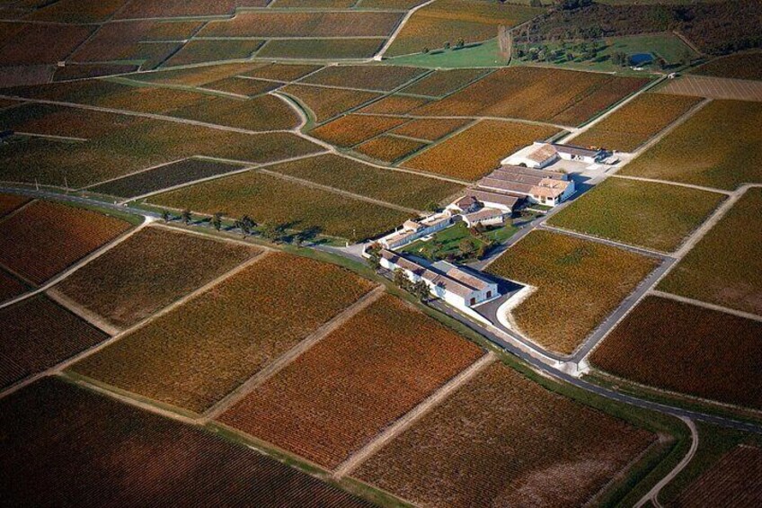 Discover Margaux : Vineyards, lunch and tastings included