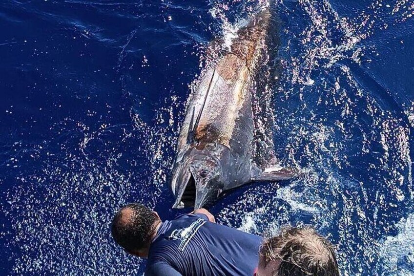 Half Day Fishing Trip from Praslin Island 