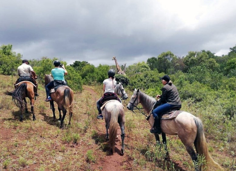Picture 23 for Activity Cape: Safari & Whale Coast 2-Day Tour with Private Transfers