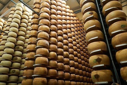 Modena's best culinary tour including a special lunch