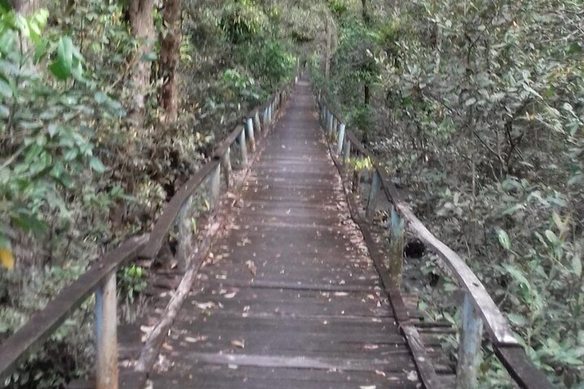 Explore Sundarban