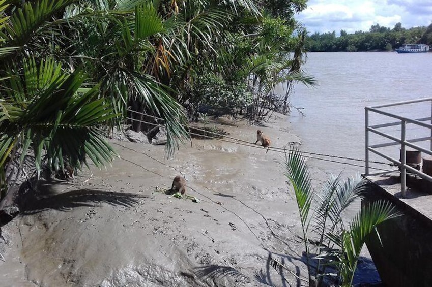 Explore Sundarban 