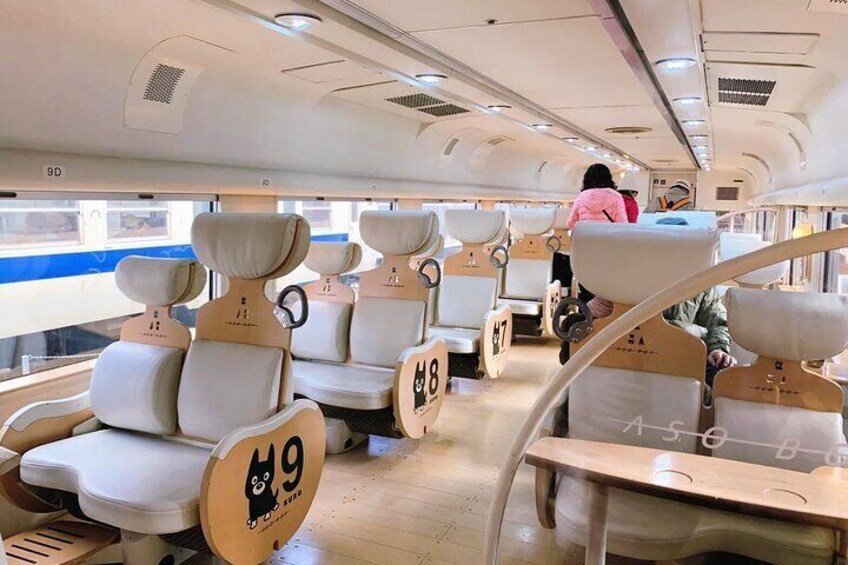 Discover Kumamoto with Aso Boy Scenic Train