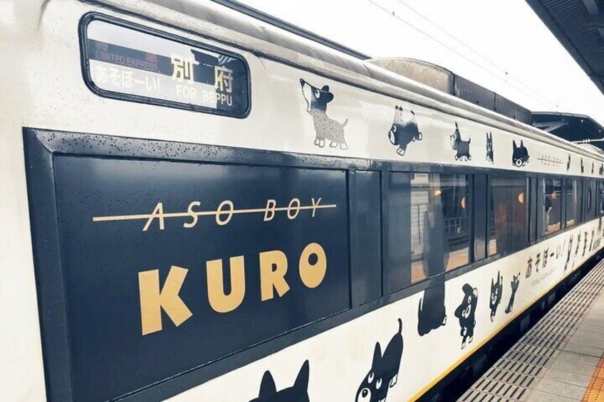 Discover Kumamoto with Aso Boy Scenic Train