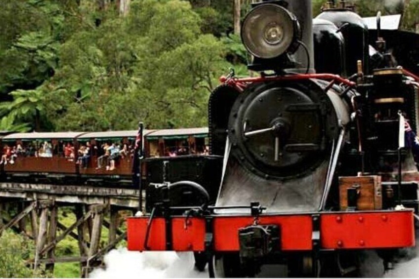 5 Days 4 Nights Melbourne Victoria Scenic Tour