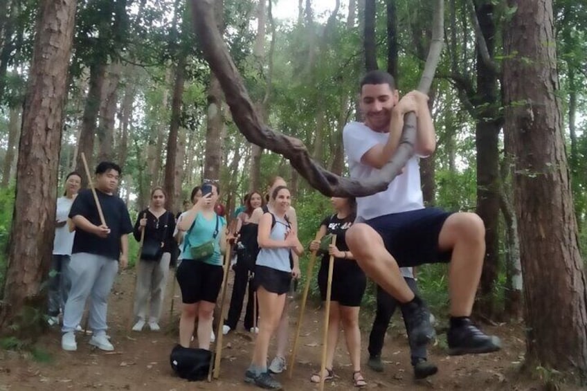 Have fun and enjoy nature in Pha Dok Siew Trail