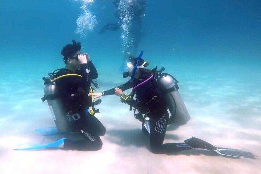 PADI Open Water Diver Course