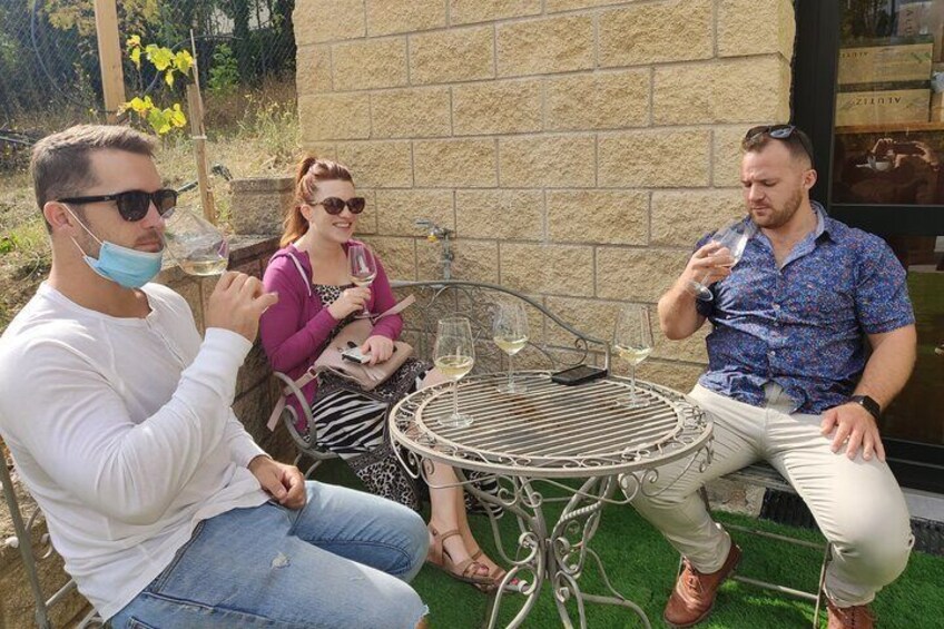 Full-Day Small-Group Rioja Wine Tour from San Sebastian