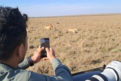Safari privado de 3 días en Tsavo East National Park Adventure