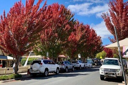 " Hahndorf Strawberry Picking, Barossa Lunch & Maggie Beer Visit"