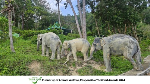 Khao Lak: Guided Tour to Elephant Sanctuary & Hotel Transfer