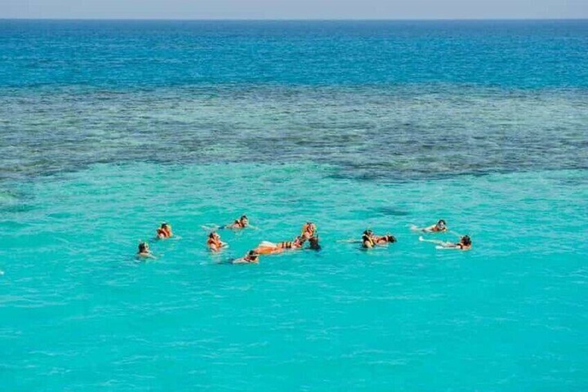Marsa Alam Dolphin Watching with Snorkeling and Lunch