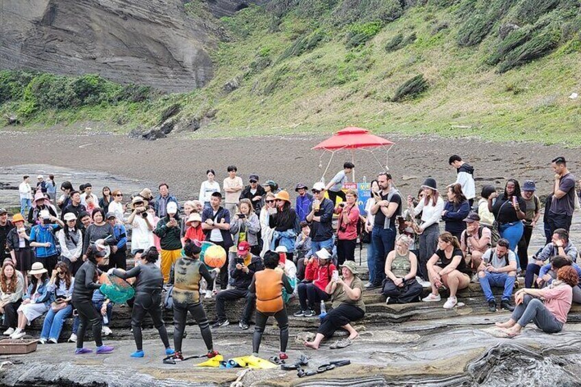 All-Inclusive Jeju East Tour with Lunch and Tangerine Picking