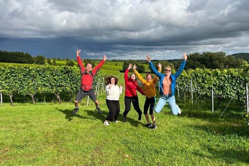 Wine Tasting with Cheese and Wine Pairing