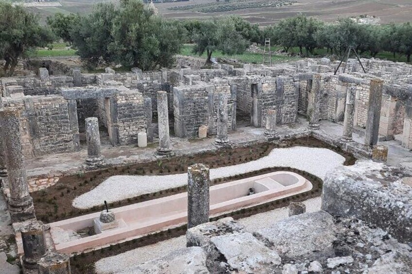 The House of Trifolium of Dougga