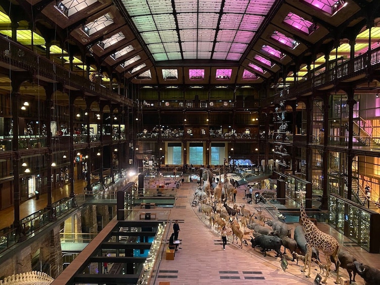 Paris: Grande Galerie de l'évolution Ticket & In-App City Audio Tour