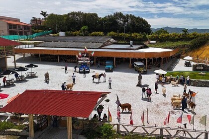 Handbag for children with Farm Experience Private Tour