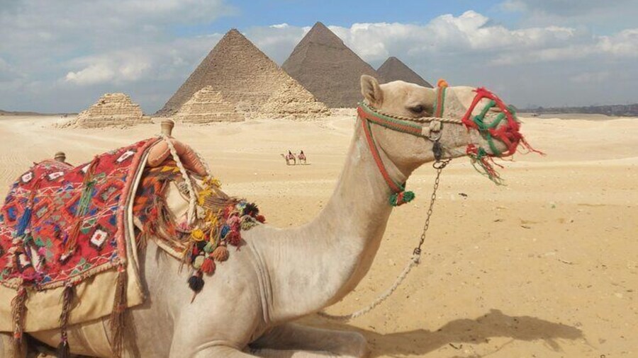 An unforgettable day at the Giza 12 hours of adventures
