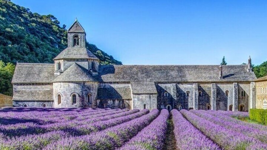 Abbey of senanque