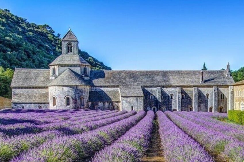 Abbey of senanque 