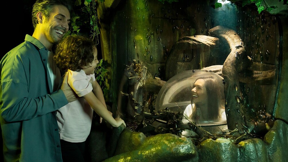 London Big Ticket - London Eye, Madame Tussauds & SEA LIFE