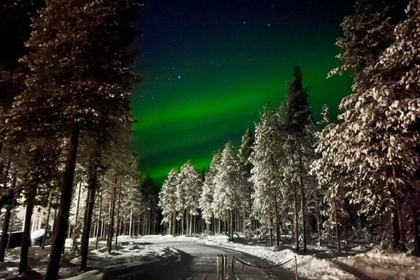 1 Day Pass Lapland Winter Park in Rovaniemi