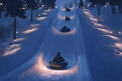 1 Day Pass Lapland Winter Park in Rovaniemi