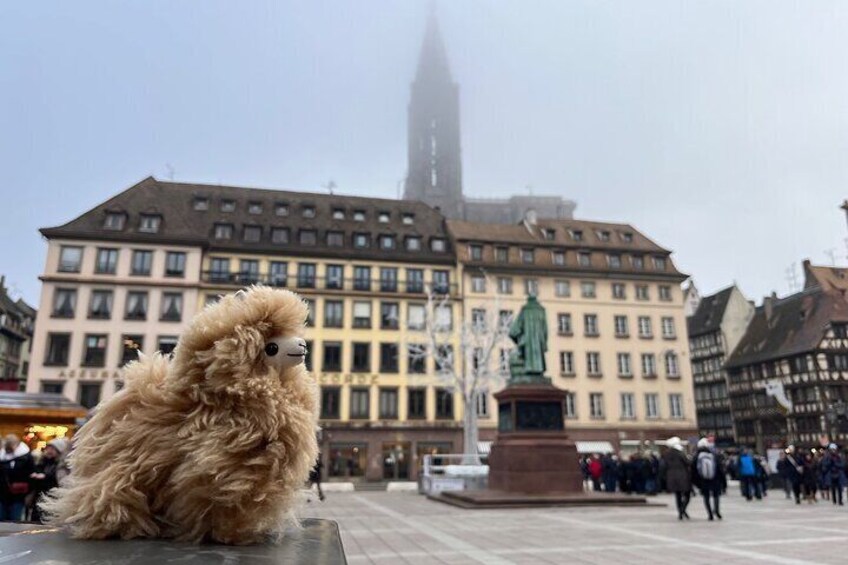 Strasbourg Private Walking Tour 