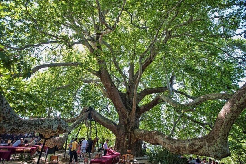 Daily Bursa Tour From Istanbul With Cable Car