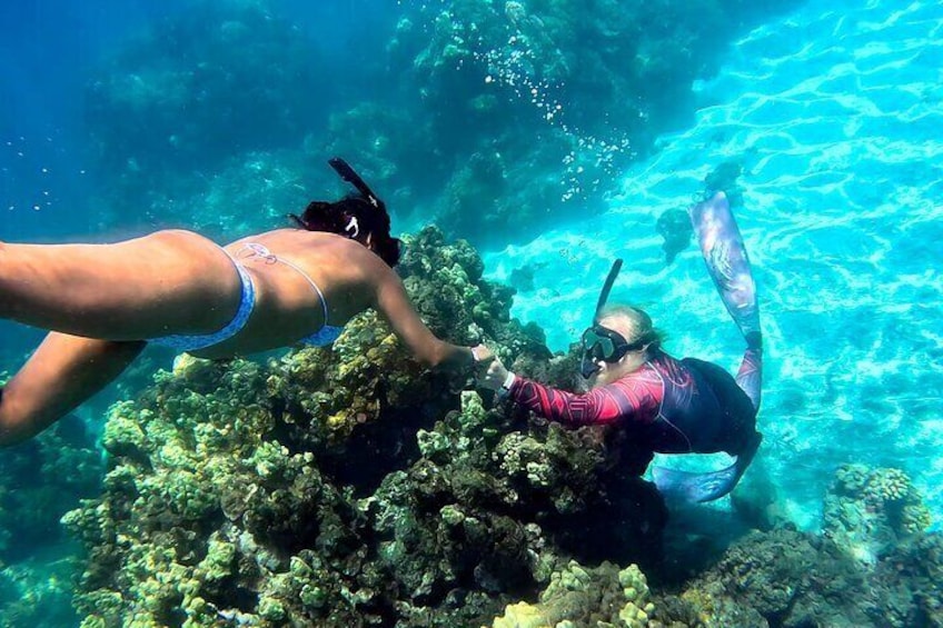 Guided Snorkeling Tour for Beginners Plus