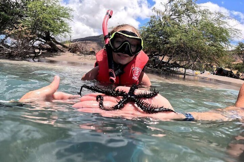 Guided Snorkeling Tour for Beginners Plus