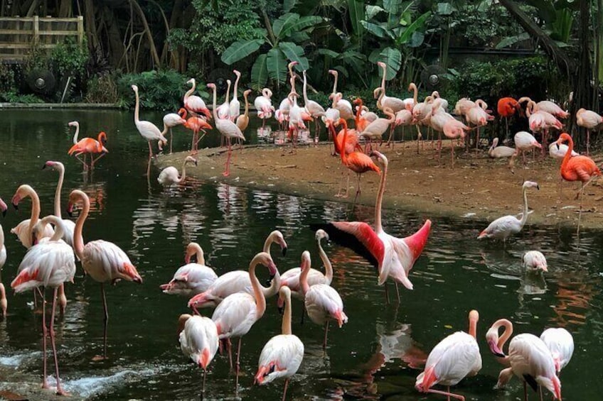 Customized Private Guangzhou Tour Guide with Car Service
