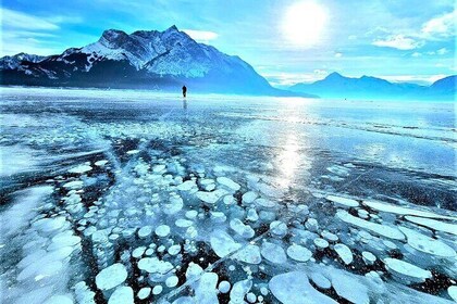 Icefields Parkway and Abraham Lake Bubbles Tour