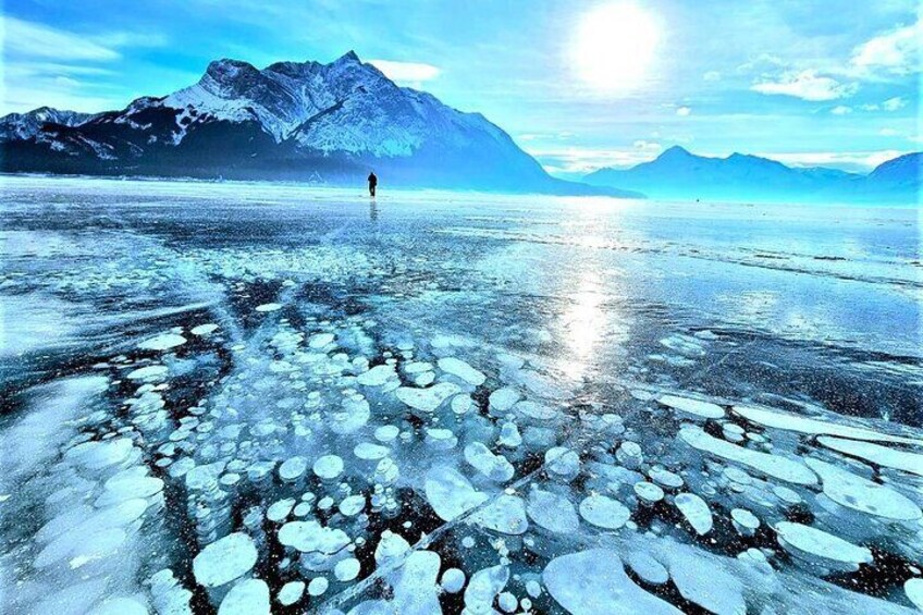 Abraham Lake January